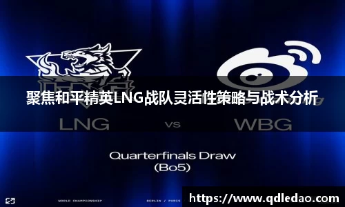 wm视讯平台官网