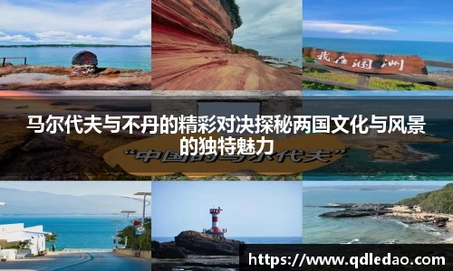 wm视讯平台官网